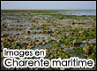 Images en Charente maritime : photographies commentées du département de la Charente maritime en Poitou Charentes
