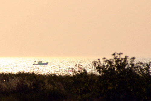 bateau au large, photo pascal lando