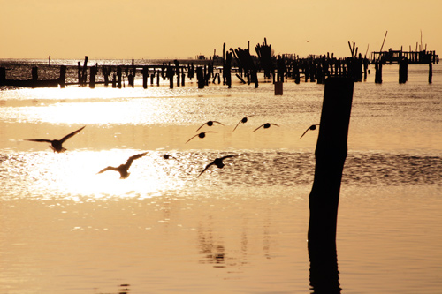 La Charente Maritime, photographie du Poitou