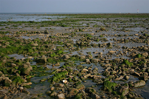 plage sur l'ile de r, photo pascal lando